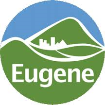 Eugene flag