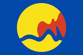 Grand Rapids flag