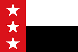 Laredo flag