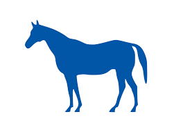 Lexington-Fayette flag