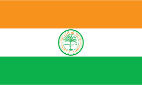 Miami flag