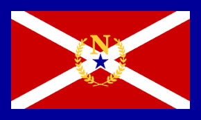 Nashville-Davidson flag