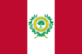 Raleigh flag