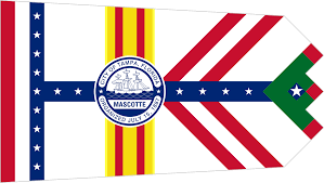 Tampa flag
