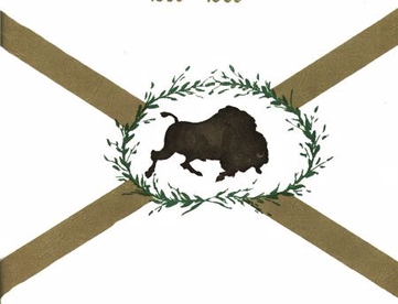 Flag of Buffalo Grove