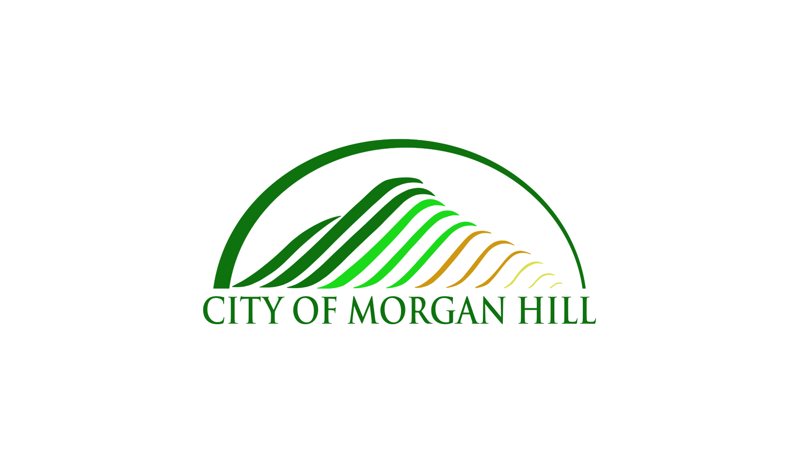 Morgan Hill flag