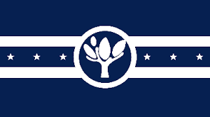Naperville flag