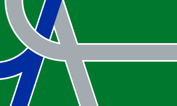 Flag of Albany