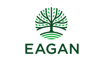 Flag of Eagan