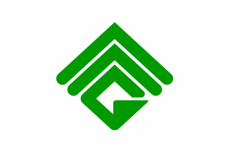 Flag of Grandview MO