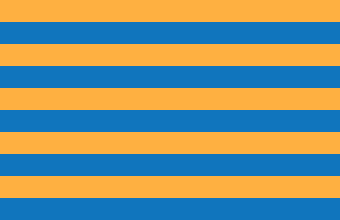 Flag of Salisbury MD
