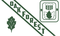 Flag of Oak Forest IL