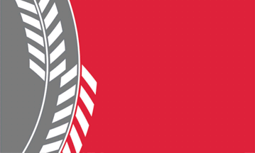 Flag of Wellington KS