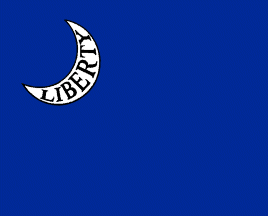Flag of Moultrie GA