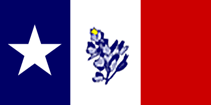 Flag of Navasota TX