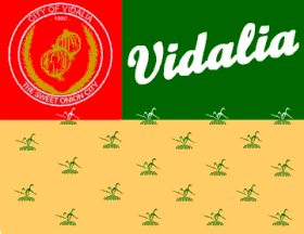 Flag of Vidalia GA