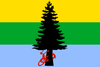 Flag of Vashon