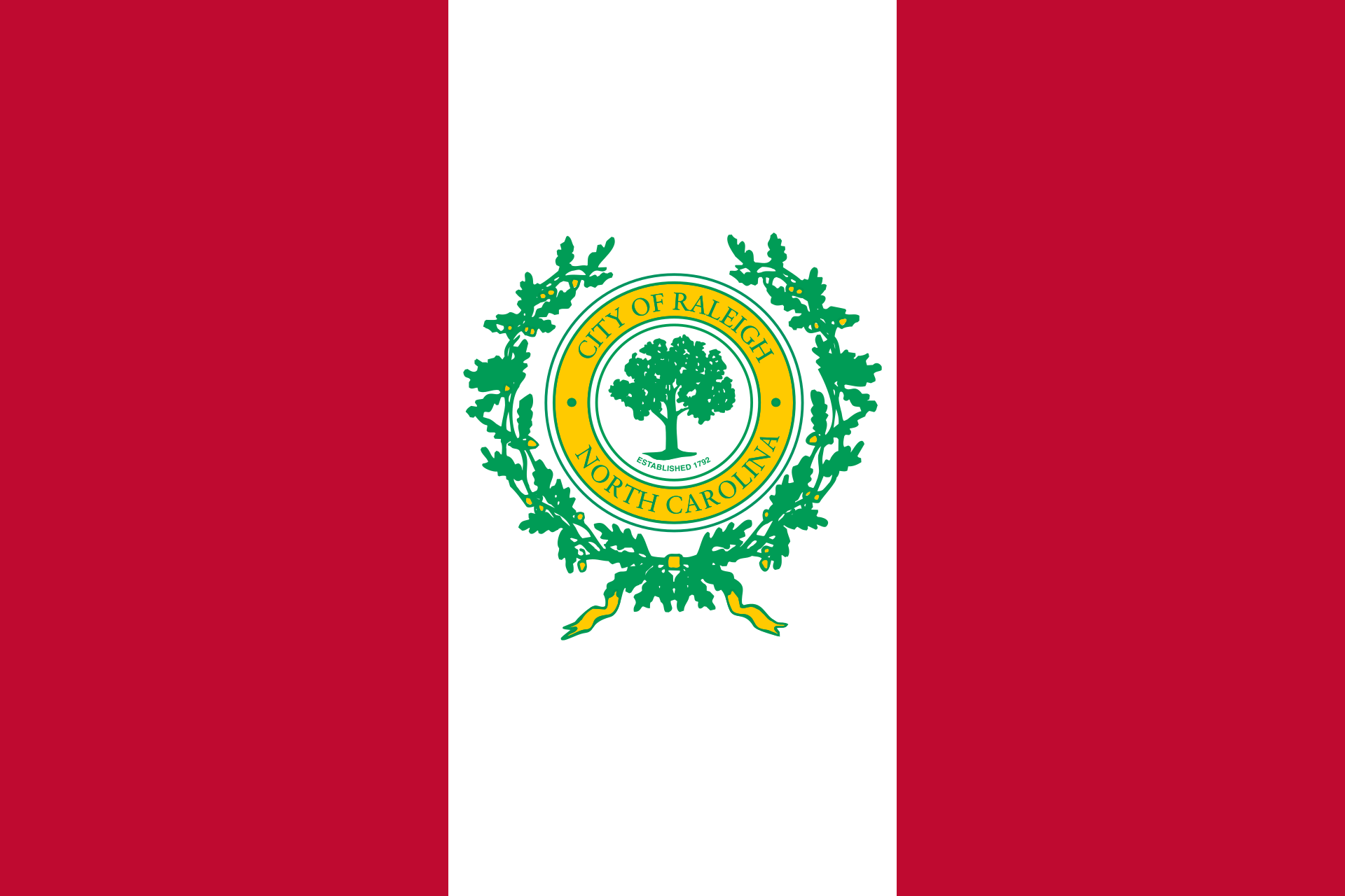 Flag of Raleigh NC